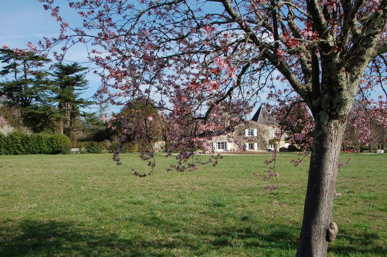 伊萨尔德城堡住宿加早餐旅馆 Camblanes-et-Meynac 外观 照片