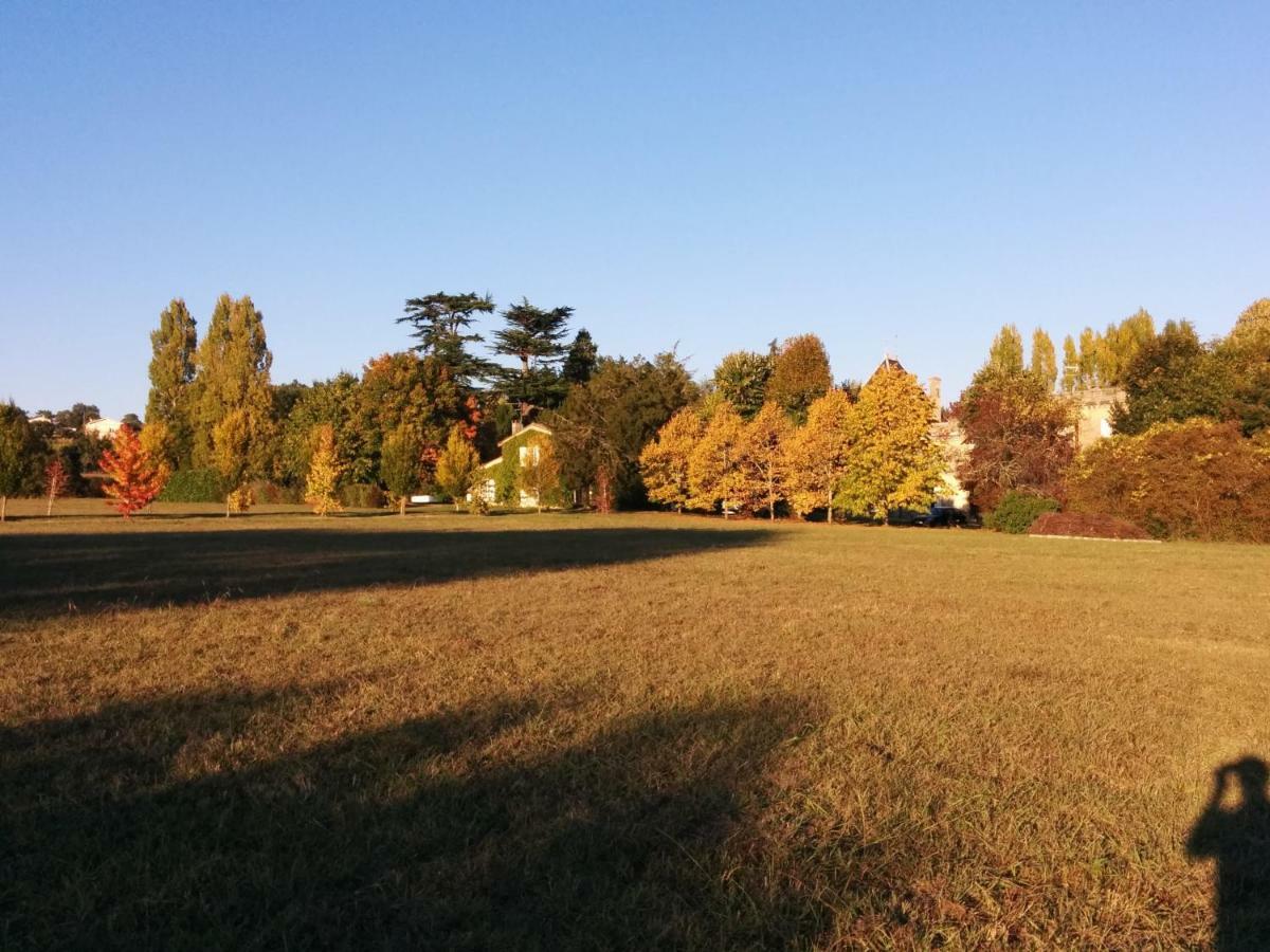 伊萨尔德城堡住宿加早餐旅馆 Camblanes-et-Meynac 外观 照片